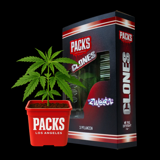 Zweets | Hanf365.de